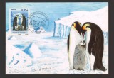 CPIB 21734 - CARTE POSTALA - PROTECTIA REGIUNILOR POLARE, PINGUINI, Necirculata, Fotografie
