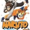 Naruto, Volume 23