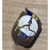 Insigna 0001 Polisportiv RPR 1