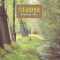 CD Electronic: Rick Wakeman &lrm;&ndash; Country Airs ( 1986 )
