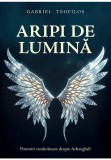 Cumpara ieftin Aripi de lumina: Povestiri vindecatoare despre Arhangheli, Daksha