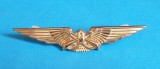 Insigna AVIATIE militara Internationala - Aviator - Pilot - Brazilia