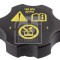FEBI BILSTEIN 36579 buson,vas expansiune