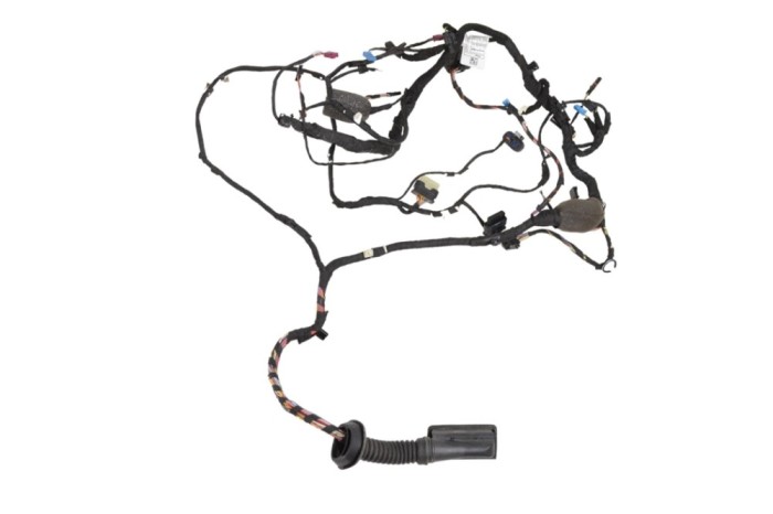 Cablaj ușă dreapta față BMW 6 Gran Turismo G32 2020 25250925