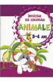 Invatam sa coloram: Animale 3-4 ani