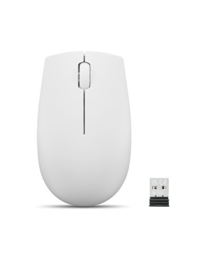 Lenovo 300 Wireless Compact Mouse Grey foto