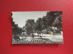CARTE POSTALA - RPR - RADAUTI - VEDERE DIN PARC ( cu pata galbena )