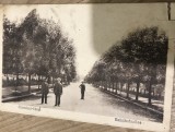 OBCT1 Ilustrata carte postala Ramnicu Sarat, Necirculata, Printata