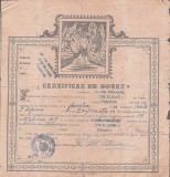 A4027N Certificat de botez, ortodox, 1919, Slănic, județul Prahova