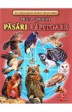 Pasari rapitoare - Cartonase - Silvia Ursache