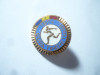 Insigna Sport Romania 1974 Cupa Tineretului , d=2cm , metal si email