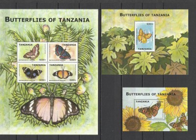 TANZANIA 2009 FAUNA INSECTE FLUTURI foto