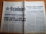 scanteia 20 decembrie 1977-articol localitatea buftea