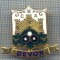 AX 347 INSIGNA BOWLING -C.B.A. DEVON -MAREA BRITANIE