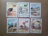 Serie Niger 1981 - Fauna , 6 valori stampilate