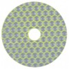 Disc diamantat pentru polisat piatra, marmura Strend Pro PREMIUM DP514, 100 mm, G100