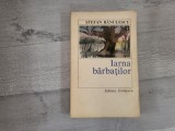 Iarna barbatilor de Stefan Banulescu