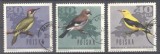 Poland 1966 Birds, used G.265