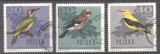 Poland 1966 Birds, used G.265, Stampilat