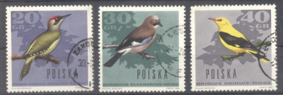 Poland 1966 Birds, used G.265 foto