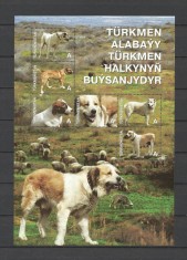 TURKMENISTAN 2013 FAUNA ANIMALE DOMESTICE CAINI ALABAY foto