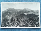 295 - Varful Tibles 1842 m / Muntii Tiblesului / peisaj montan Fotofilm, Circulata, Fotografie