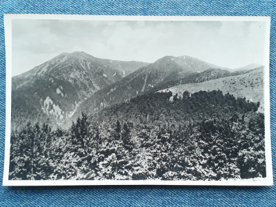 295 - Varful Tibles 1842 m / Muntii Tiblesului / peisaj montan Fotofilm foto