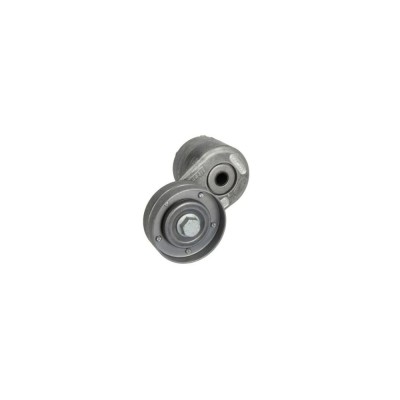 Intinzator curea JEEP CHEROKEE KJ DAYCO APV2669 foto