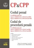 Codul penal. Codul de procedură penală - Paperback brosat - Petruţ Ciobanu - Rosetti Internaţional