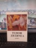 Tudor Zb&acirc;rnea, Pictură, pliant expoziție, decembrie 1995, București, 123