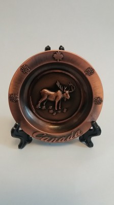 QW6 7 - Amintire Canada - simbol elan si frunza de artatr foto