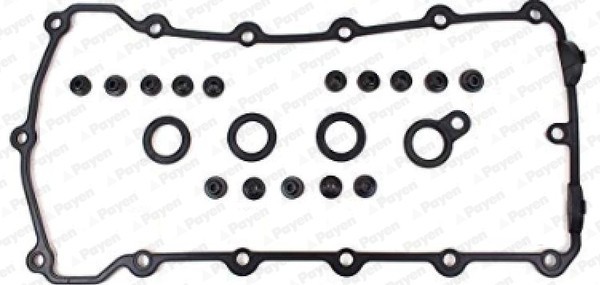 PAYEN HL733 Set garnituri, Capac supape
