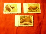 Serie Brazilia 1988 - Fauna , 3 valori