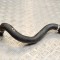 Furtun radiator răcire dreapta BMW 2 Cabrio F23 2016 OEM: 7635794 13879802