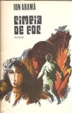 Campia de foc - Ion Arama