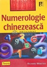 Numerologie chinezeasca - 2008 - Richard Webster (AG156)