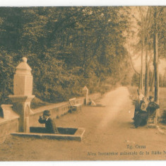 1100 - TARGU-OCNA, Bacau, Izvoarele Minerale, Romania - old postcard - unused