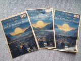 3 programe festival Blues in the Garden, Darmanesti 23-25 August 2024