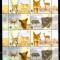 ARGENTINA 2002, Fauna, WWF, serie neuzata, MNH
