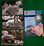Vederi aniversare / carte poștale Festivalul C&acirc;rnaților, B&eacute;k&eacute;scsaba- Ungaria, 4 bucăți 2013-2016 10/15 cm // 13/19 cm Csabai Kolb&aacute;szfesztiv&aacute;l