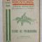 FLORI DE PRIMAVARA de I. SIMIONESCU , COLECTIA &#039; CUNOSITINE FOLOSITOARE &#039; , NUMARUL 65 , SERIA A , 1937
