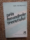ION PETROVICI - PRIN MEANDRELE TRECUTULUI