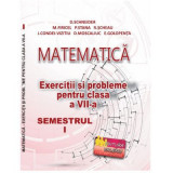 Matematica, exercitii si probleme pentru clasa a 7-a, semestrul 1, 2022 - Delia Schneider