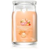 Yankee Candle Mango Ice Cream lum&acirc;nare parfumată Signature 567 g