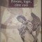 Thomas Wolfe - Priveste, inger, catre casa