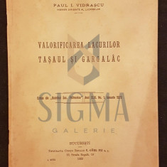 PAUL I. VIDRASCU, VALORIFICAREA LACURILOR TASAUL SI GARGALAC, BUCURESTI, 1929