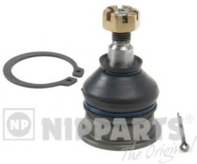 Pivot HONDA ACCORD VIII (CU) (2008 - 2016) NIPPARTS J4884011 foto