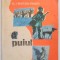 PUIUL de AL. I. BRATESCU - VOINESTI , 1970