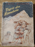 Tigrii din Himalaya 1958