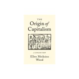 The Origin of Capitalism: A Longer View